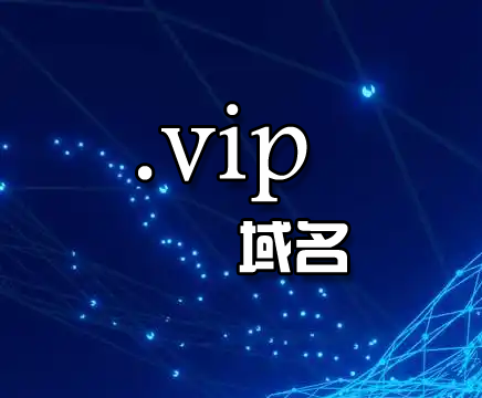 .VIP����